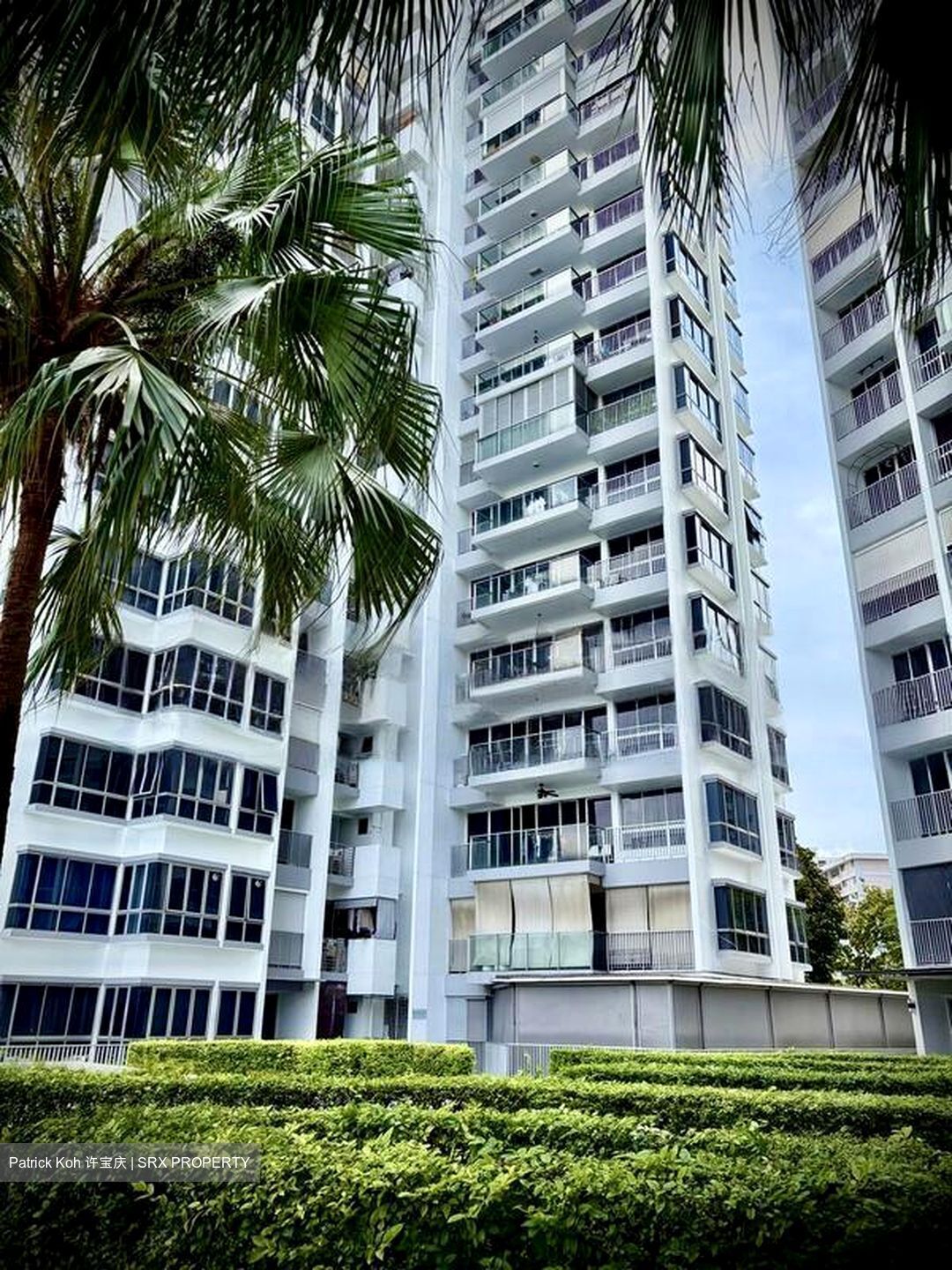 The Parc Condominium (D5), Condominium #467186421